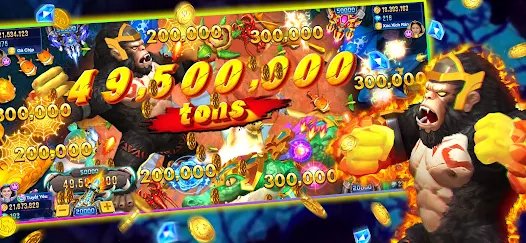8855 bet